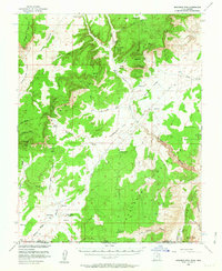 Download a high-resolution, GPS-compatible USGS topo map for Buckskin Mtn, UT (1964 edition)