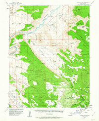 Download a high-resolution, GPS-compatible USGS topo map for Castle Valley, UT (1963 edition)
