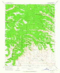 Download a high-resolution, GPS-compatible USGS topo map for Cedar Mesa, UT (1964 edition)