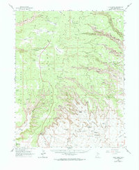 Download a high-resolution, GPS-compatible USGS topo map for Cedar Mesa, UT (1974 edition)