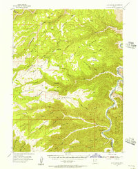 Download a high-resolution, GPS-compatible USGS topo map for Flat Canyon, UT (1956 edition)