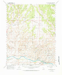 Download a high-resolution, GPS-compatible USGS topo map for Montezuma Creek, UT (1984 edition)