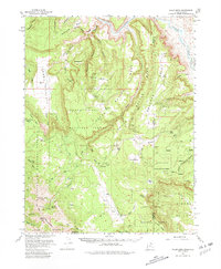Download a high-resolution, GPS-compatible USGS topo map for Polar Mesa, UT (1981 edition)