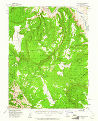 Download a high-resolution, GPS-compatible USGS topo map for Polar Mesa, UT (1961 edition)