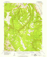 Download a high-resolution, GPS-compatible USGS topo map for Polar Mesa, UT (1957 edition)