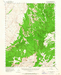Download a high-resolution, GPS-compatible USGS topo map for San Rafael Knob, UT (1964 edition)