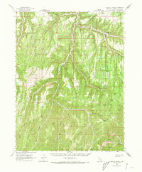 Download a high-resolution, GPS-compatible USGS topo map for Tenmile Canyon, UT (1973 edition)