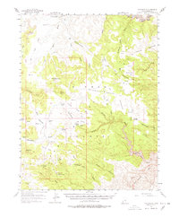 Download a high-resolution, GPS-compatible USGS topo map for The Wickiup, UT (1978 edition)