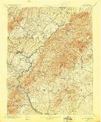 1894 Map of Lexington, 1929 Print