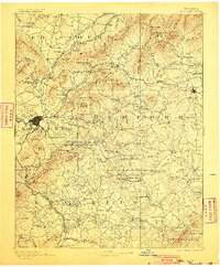 1891 Map of Roanoke, 1900 Print
