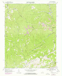 Download a high-resolution, GPS-compatible USGS topo map for Amonate, VA (1978 edition)