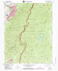 Download a high-resolution, GPS-compatible USGS topo map for Buena Vista, VA (1984 edition)