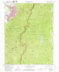 Download a high-resolution, GPS-compatible USGS topo map for Buena Vista, VA (1979 edition)