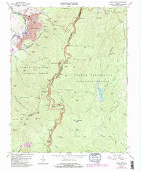 Download a high-resolution, GPS-compatible USGS topo map for Buena Vista, VA (1991 edition)