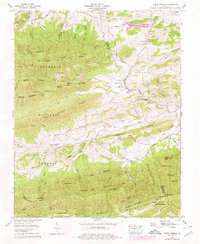 Download a high-resolution, GPS-compatible USGS topo map for Cedar Springs, VA (1978 edition)