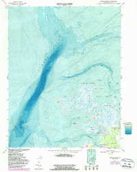 Download a high-resolution, GPS-compatible USGS topo map for Chesconessex, VA (1986 edition)
