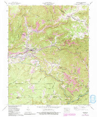 Download a high-resolution, GPS-compatible USGS topo map for Coeburn, VA (1991 edition)