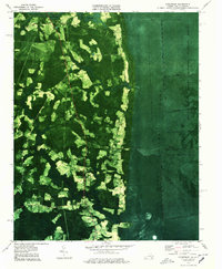 Download a high-resolution, GPS-compatible USGS topo map for Corapeake, VA (1978 edition)