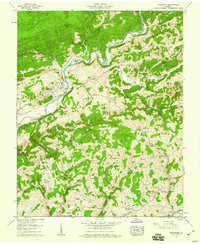 Download a high-resolution, GPS-compatible USGS topo map for Dungannon, VA (1960 edition)