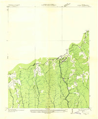 preview thumbnail of historical topo map of Buchanan County, VA in 1935