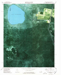 Download a high-resolution, GPS-compatible USGS topo map for Lake Drummond, VA (1978 edition)