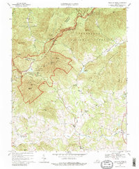 Download a high-resolution, GPS-compatible USGS topo map for Peaks Of Otter, VA (1988 edition)
