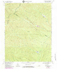Download a high-resolution, GPS-compatible USGS topo map for Reddish Knob, VA (1984 edition)