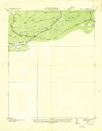 Download a high-resolution, GPS-compatible USGS topo map for Trout Dale, VA (1935 edition)