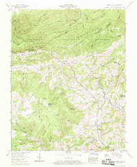 Download a high-resolution, GPS-compatible USGS topo map for Trout Dale, VA (1969 edition)