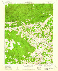 Download a high-resolution, GPS-compatible USGS topo map for Trout Dale, VA (1960 edition)