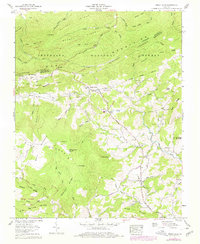 Download a high-resolution, GPS-compatible USGS topo map for Trout Dale, VA (1978 edition)