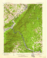 preview thumbnail of historical topo map of Amherst County, VA in 1950
