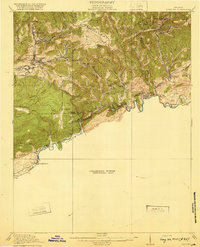 Download a high-resolution, GPS-compatible USGS topo map for Coeburn, VA (1920 edition)