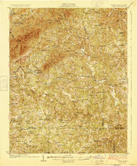 1928 Map of Critz