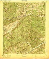 preview thumbnail of historical topo map of Wise, VA in 1921