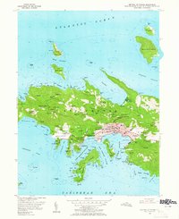 Download a high-resolution, GPS-compatible USGS topo map for Central St Thomas, VI (1965 edition)