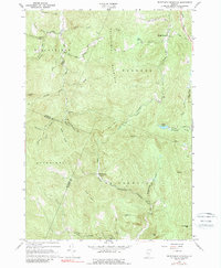 Download a high-resolution, GPS-compatible USGS topo map for Delectable%20Mountain, VT (1989 edition)