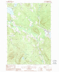 preview thumbnail of historical topo map of Island Pond, VT in 1988