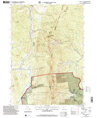 Download a high-resolution, GPS-compatible USGS topo map for Mount%20Ellen, VT (2000 edition)