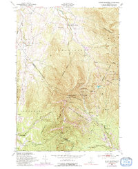 Download a high-resolution, GPS-compatible USGS topo map for Mount%20Mansfield, VT (1992 edition)