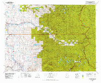 Download a high-resolution, GPS-compatible USGS topo map for Skykomish River, WA (1977 edition)