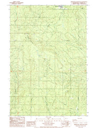 Download a high-resolution, GPS-compatible USGS topo map for Abernathy Mountain, WA (1986 edition)