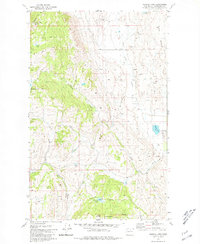 Download a high-resolution, GPS-compatible USGS topo map for Aeneas Lake, WA (1981 edition)