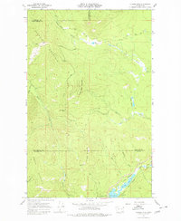 Download a high-resolution, GPS-compatible USGS topo map for Aladdin Mtn, WA (1980 edition)