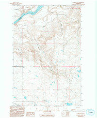 Download a high-resolution, GPS-compatible USGS topo map for Alameda Flat, WA (1994 edition)