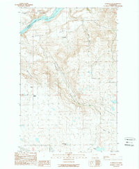 Download a high-resolution, GPS-compatible USGS topo map for Alameda Flat, WA (1989 edition)