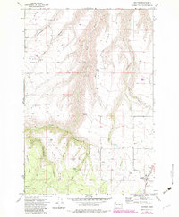 Download a high-resolution, GPS-compatible USGS topo map for Anatone, WA (1983 edition)