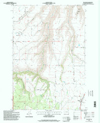 preview thumbnail of historical topo map of Anatone, WA in 1995