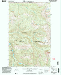 Download a high-resolution, GPS-compatible USGS topo map for Ashnola Mountain, WA (2006 edition)