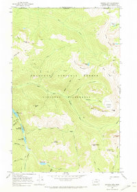 Download a high-resolution, GPS-compatible USGS topo map for Ashnola Mtn, WA (1973 edition)